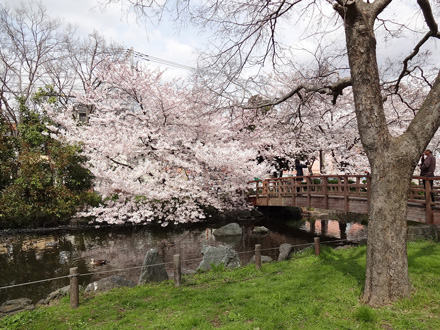 全面リニューアルを遂げた都立東綾瀬公園の様子